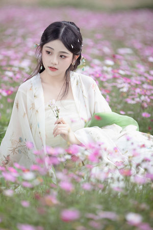 亚洲一本之道DVD高清